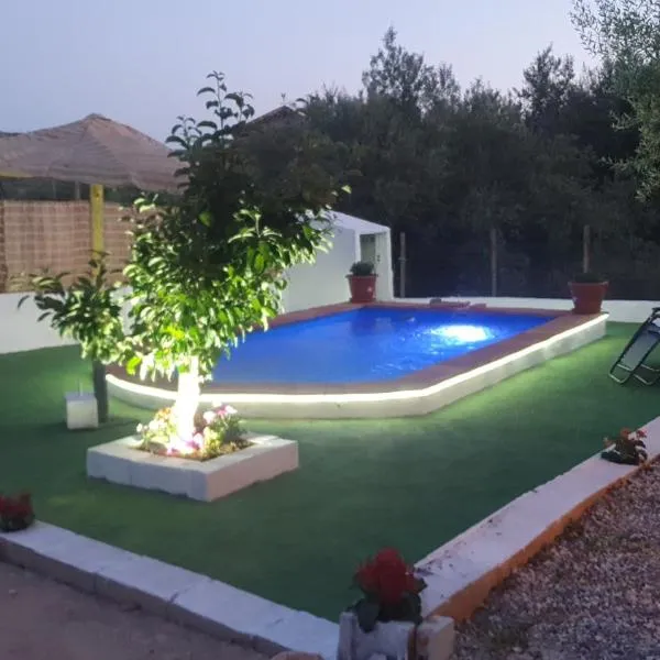 Casa domi，位于阿尔考辛的酒店