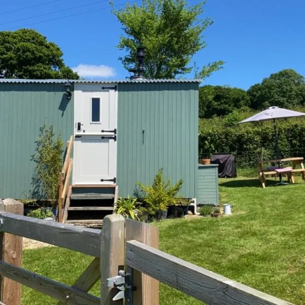 The Orchard Shepherds Hut，位于阿克斯明斯特的酒店