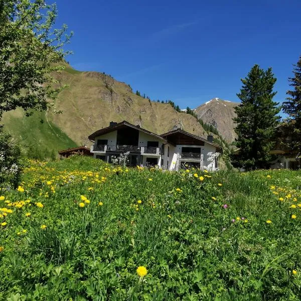 Engadin Lodge PREMIUM & PRIVATE，位于萨姆瑙恩的酒店