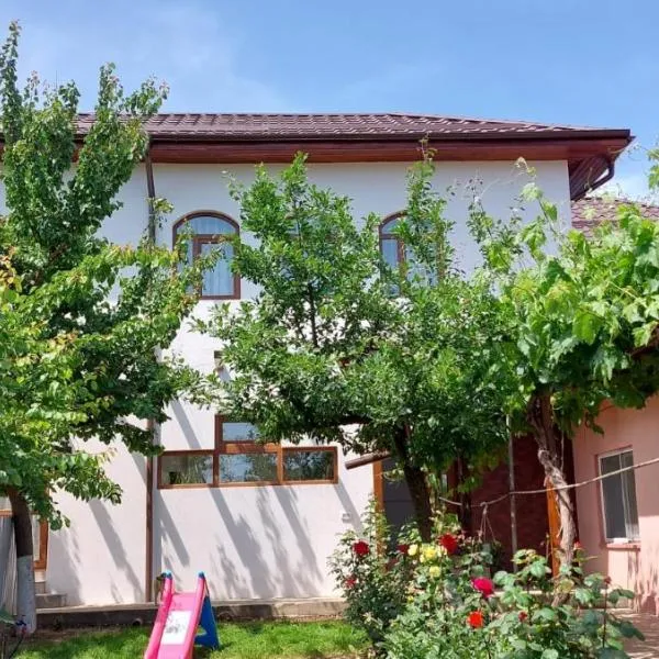 Agropensiunea Olteanu，位于Balabancea的酒店