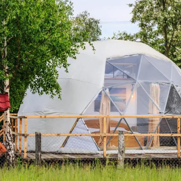 Brancoveanu Glamping，位于Văratici的酒店