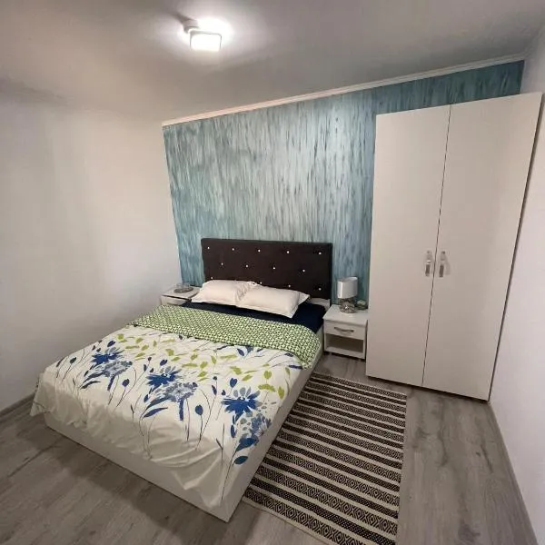 Gigios Sport&Relax，位于Băileşti的酒店
