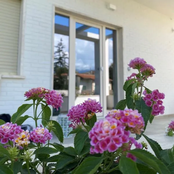 Villa D Erna Marina di Pietrasanta，位于马里纳-迪-皮特拉桑塔的酒店
