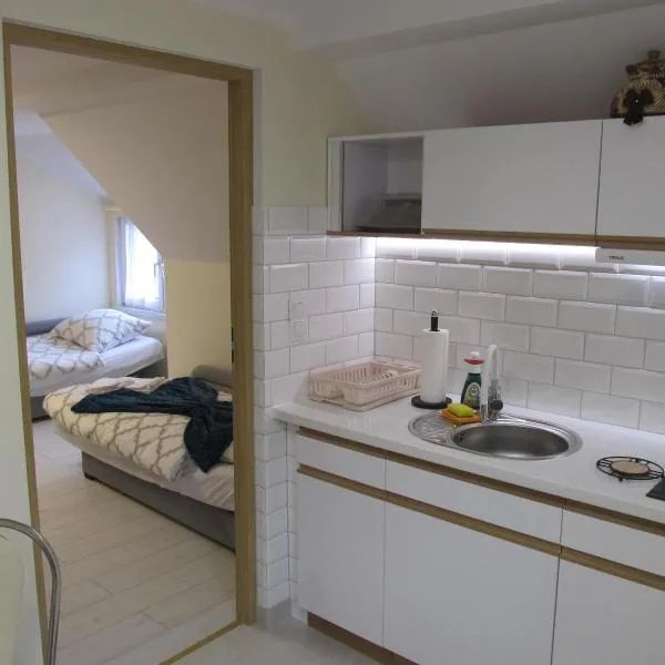 Apartamenty Anagora Kotlina Kłodzka II，位于新鲁达的酒店