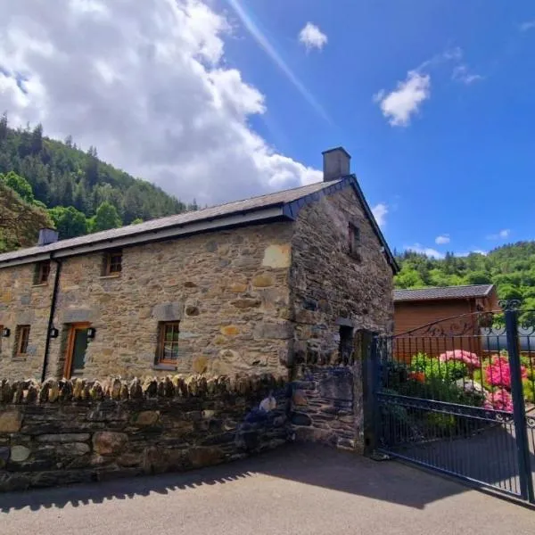 Glandwr Cottage at Hendre Rhys Gethin，位于Trefriw的酒店