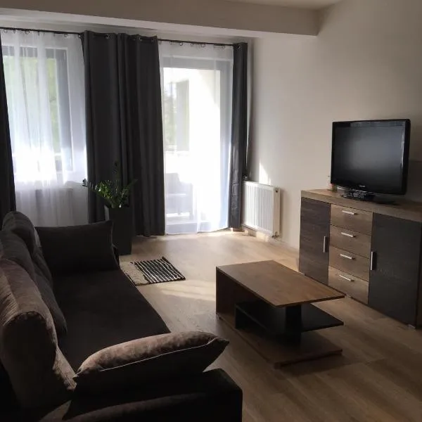 Apartament na Lipskiej，位于扎莫希奇的酒店