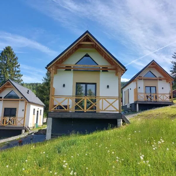 Chatki wisla houses，位于维斯瓦的酒店