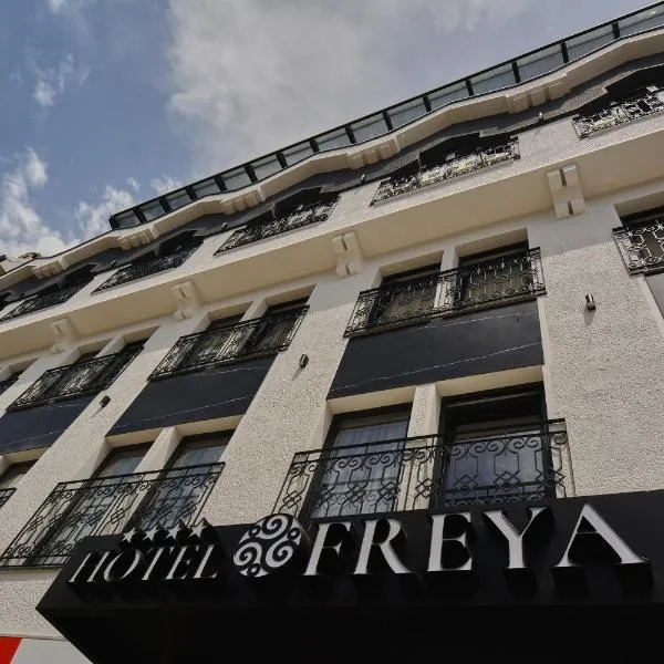 Hotel Freya，位于斯特鲁加的酒店