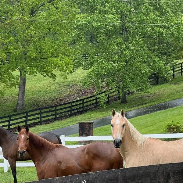 Nicura Ranch Inn & Stables，位于伯里亚的酒店