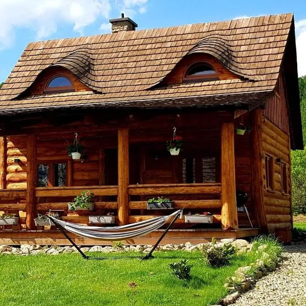 Tylickie Chałupy，位于泰里克兹的酒店