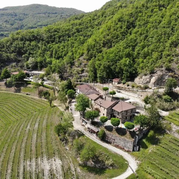 Cascina Bertolotto Wine Resort，位于Spigno Monferrato的酒店