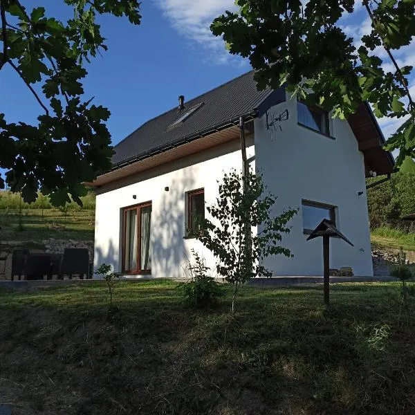 KOCIA GÓRA，位于Chomranice的酒店