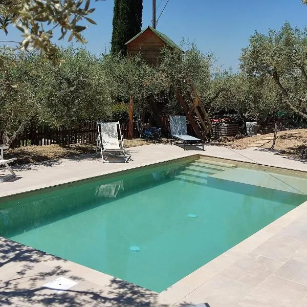 L'Agrifoglio di Assisi Residenza di Campagna，位于阿西西的酒店