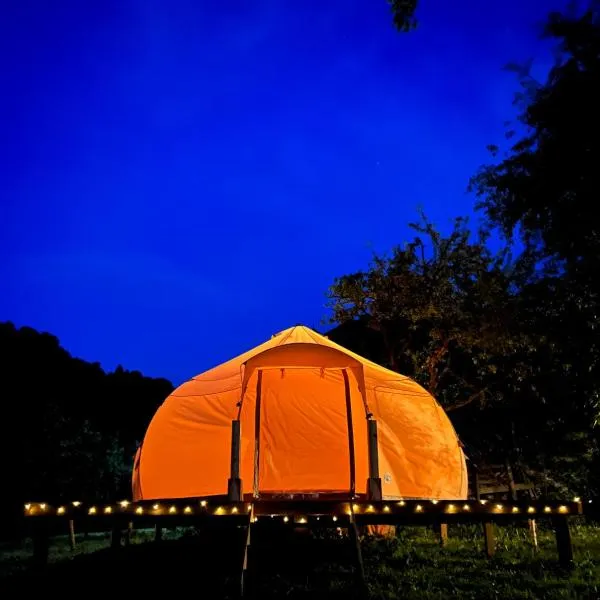 Flore's Garden Glamping，位于Drumu Carului的酒店