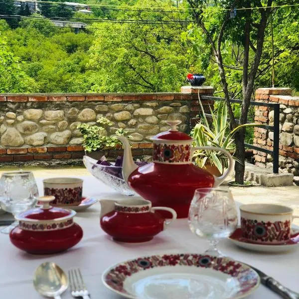 Guest house Babaka，位于西格纳吉的酒店