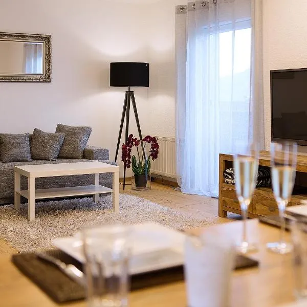 Apartment Schafbergblick mit Balkon，位于蒙德塞的酒店