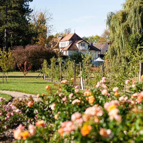 德乐伟诺酒店，位于勒韦尔努瓦的酒店