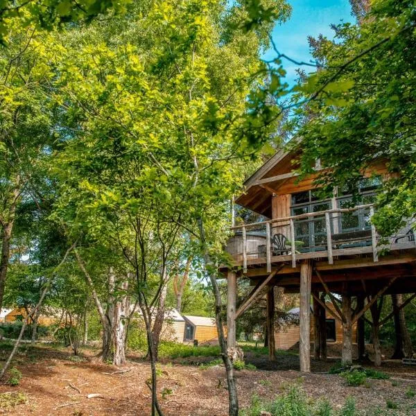 EuroParcs Ruinen，位于Ruinen的酒店