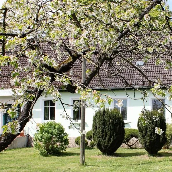 林登霍夫养马场旅馆，位于Röddelin的酒店