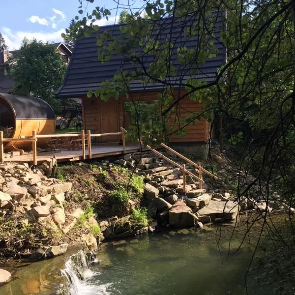 Chatka z sauną nad rzeką，位于Żabnica的酒店