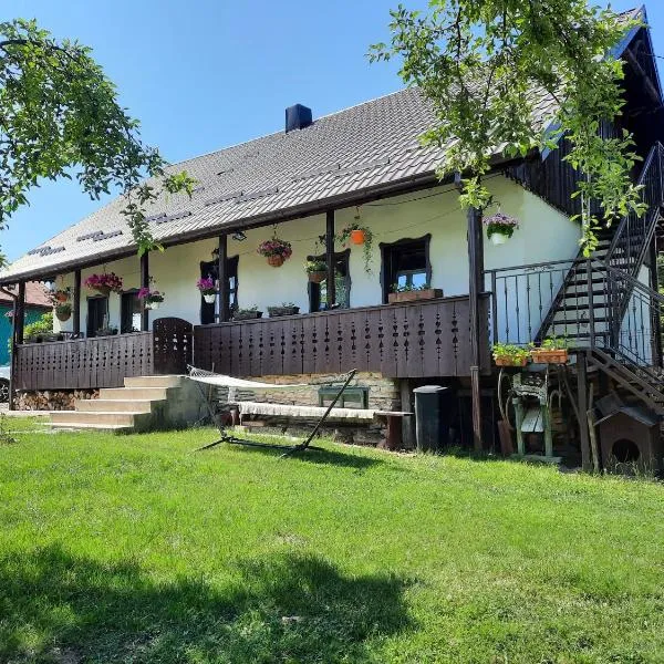 Casa Bunicilor，位于Bălăceana的酒店