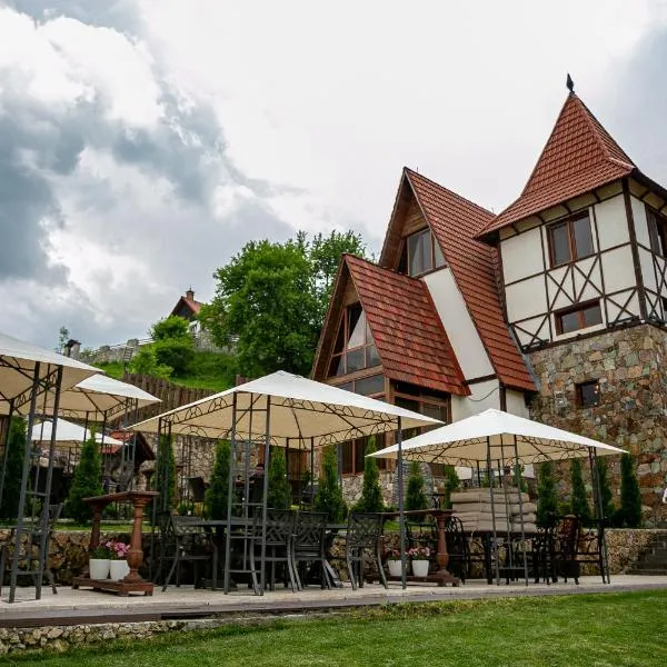 Alpine Castle Hotel，位于迪利然的酒店