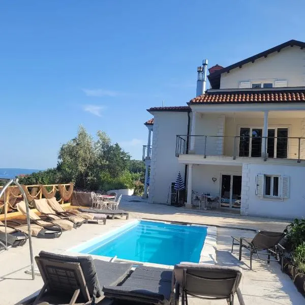 Ferienwohnung mit Pool Kroatien mit Meerblick und Pool，位于Vranja的酒店