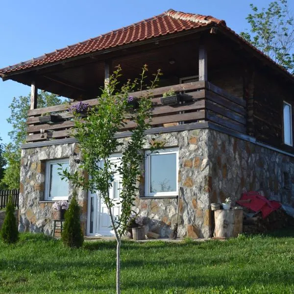 Zlatibor Cottages，位于Gornji Ljubiš的酒店