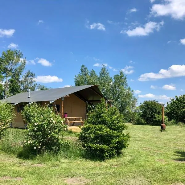 Safaritent Zilverreiger，位于Tynaarlo的酒店