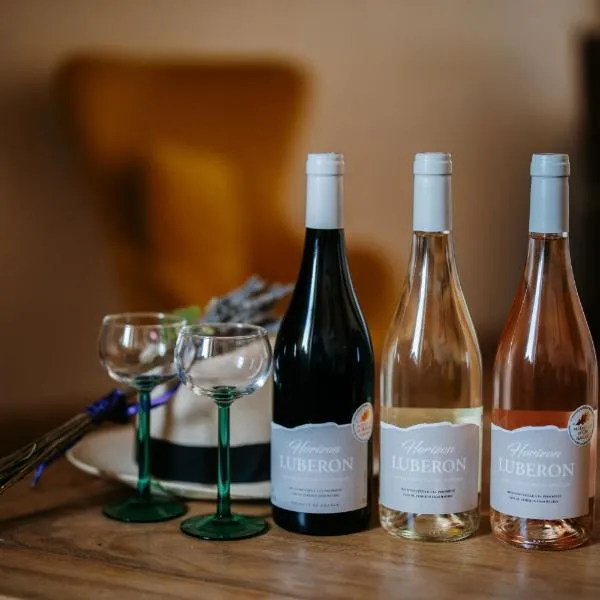 Provence Now，位于凯布雷斯阿维尼翁的酒店
