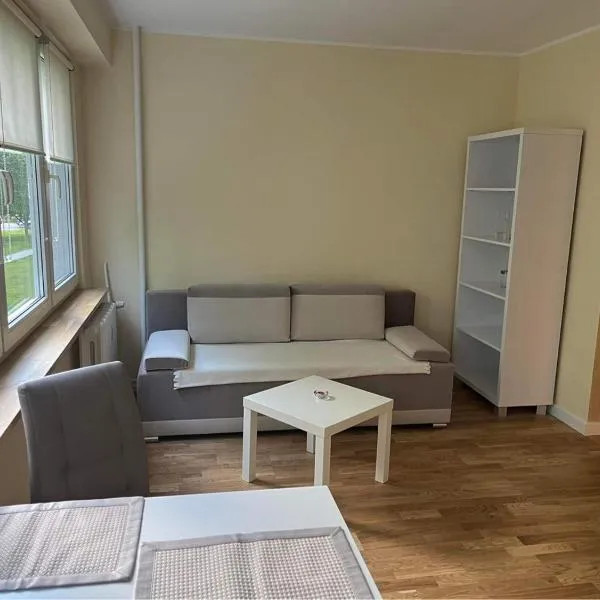 Apartament Dworcowa，位于奥尔什丁的酒店