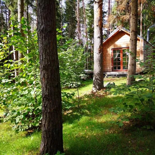 Private cosy forest cabin，位于Kaciūniškiai的酒店