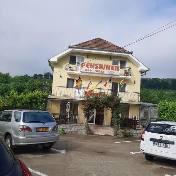 Pensiunea Vidra，位于Sîmbăta的酒店