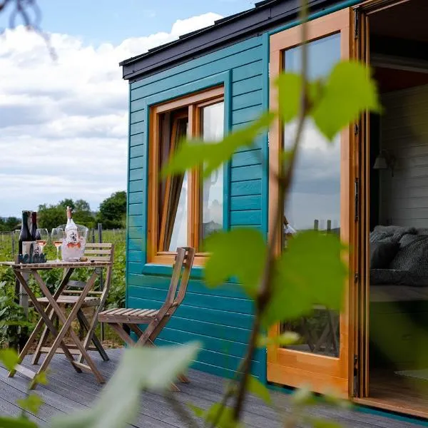 Tiny House in the vineyard by Gramofon Wine，位于Urlaţi的酒店