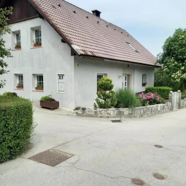 Apartmaji Magda，位于佐尔尼耶戈迪的酒店