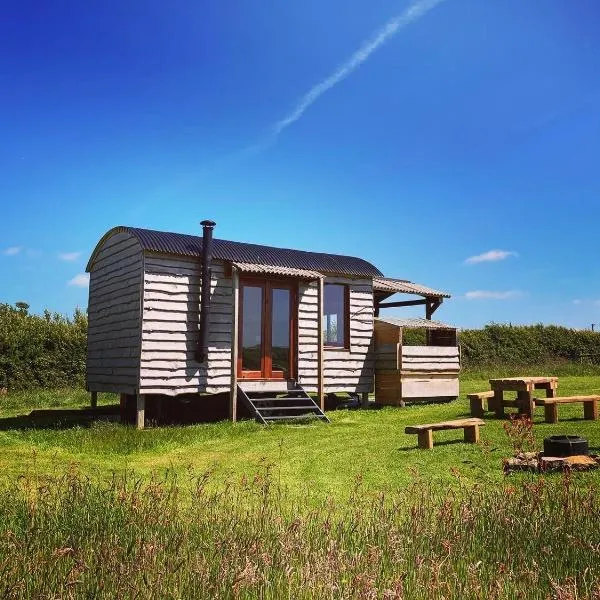 Shepherds Hut in a private meadow with sea views，位于比迪福德的酒店