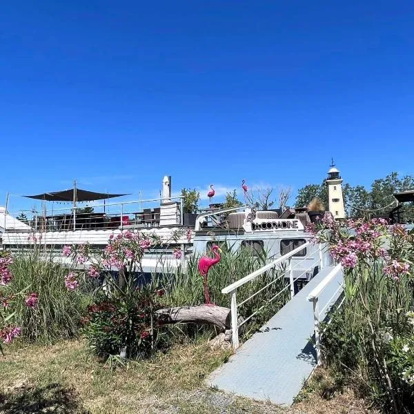 Séjour atypique et insolite sur notre péniche La Coradine avec grand spa，位于Aigues-Mortes的酒店