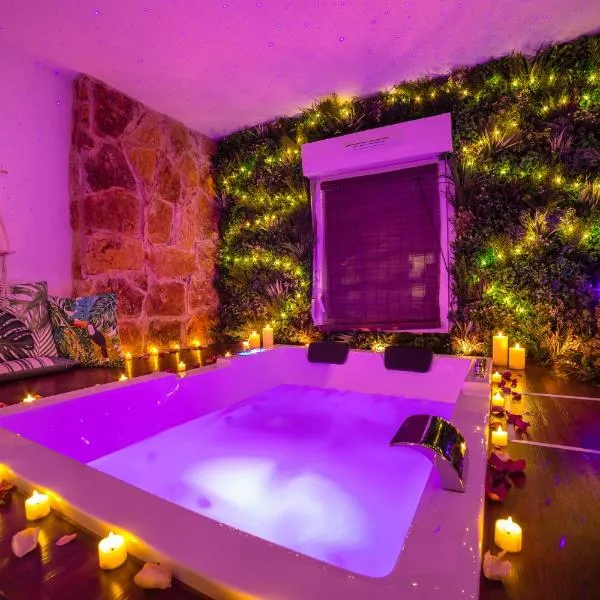 Appartement L'Évasion Nature，位于特鲁瓦的酒店