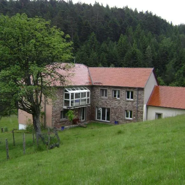 Gite HANSEL de la Ferme du Schneeberg，位于万根伯格的酒店