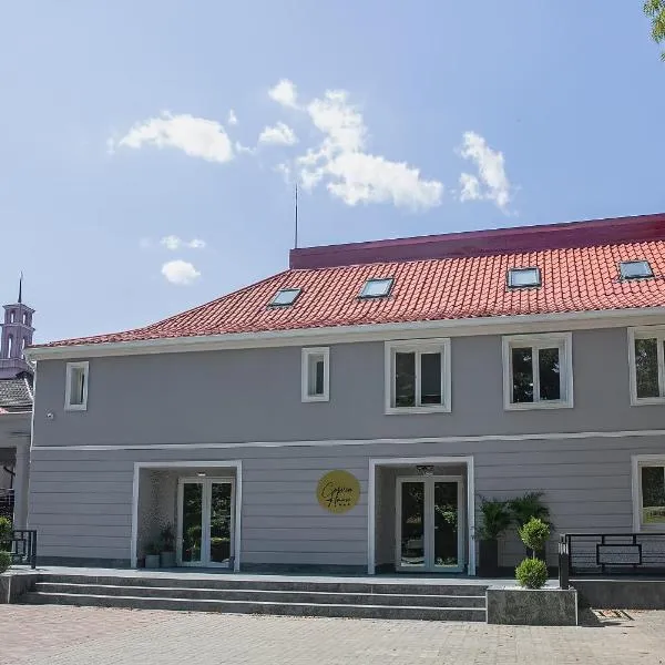 CORVIN HOUSE，位于Nădăştia de Sus的酒店
