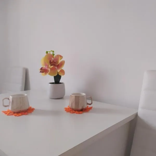 Apartman LEO，位于Bečej的酒店