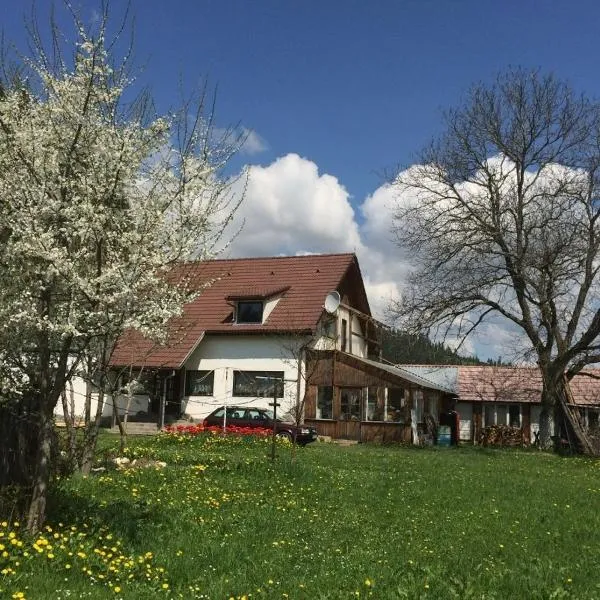 Karacsony Guest House，位于Valea Boroş的酒店