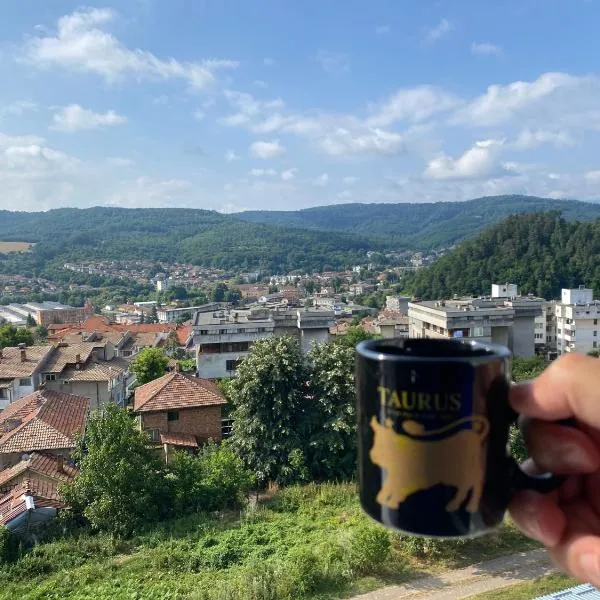 Апартамент Панорама Трявна - кът за отдих, въздухолечение и почивка，位于特里亚夫纳的酒店