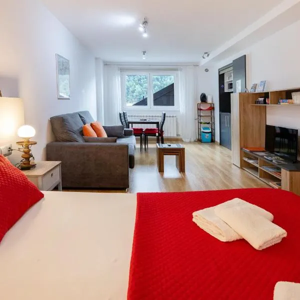 Modern studio in Arinsal of 40 m² with mountain view，位于阿林萨尔的酒店