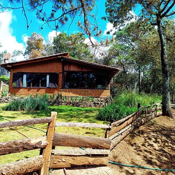 Cabaña en medio del bosque ZA，位于Acaxochitlán的酒店