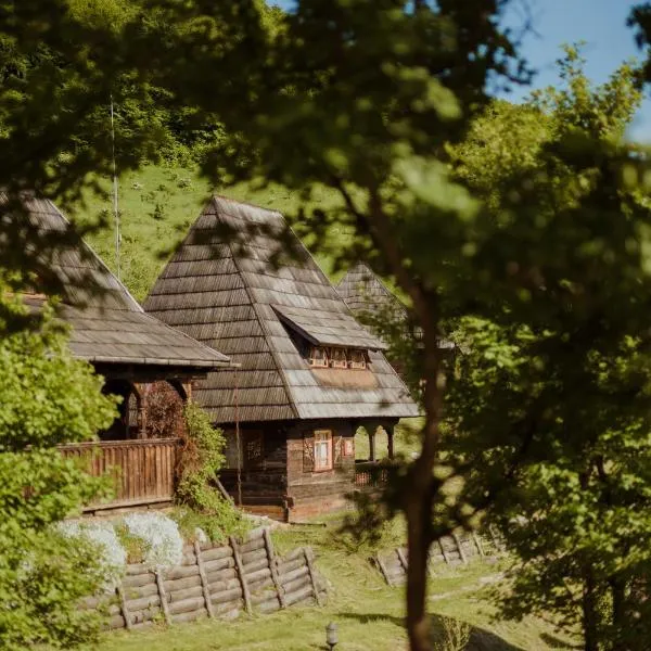 Raven's Nest - The Hidden Village, Transylvania - Romania，位于Onceşti的酒店