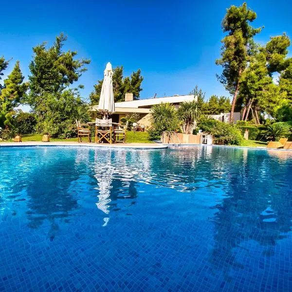 Sani Forest Luxury Villa，位于撒尼海滩的酒店