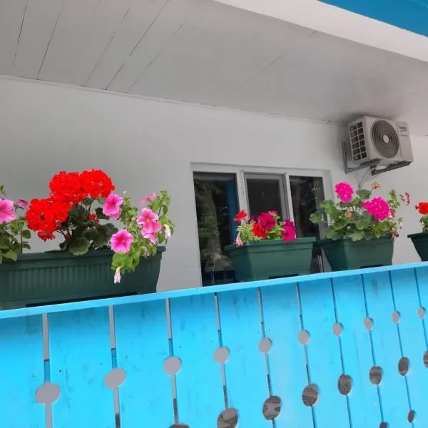 Casa Dobrogea，位于朱庇特的酒店