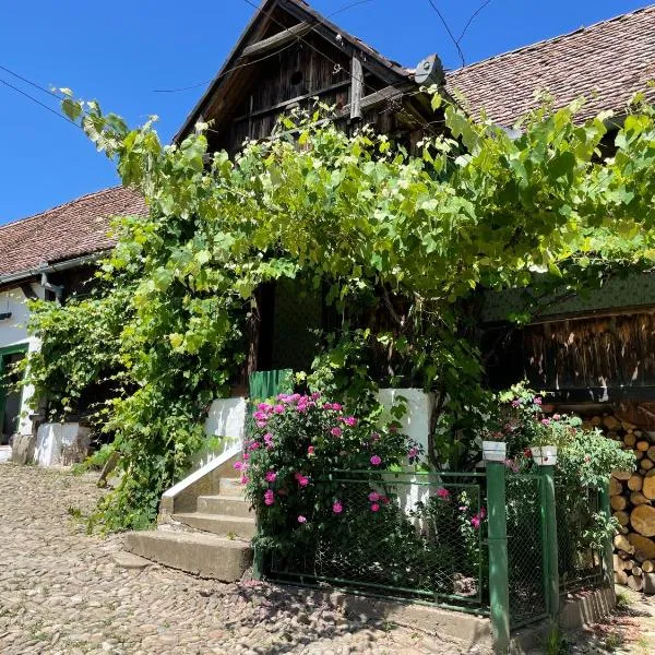Saschiz 130/Lodging and Glamping，位于Saschiz的酒店