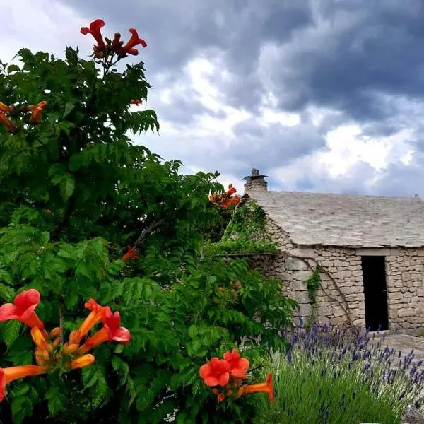 Country House Hacienda,位于塞尔察的酒店